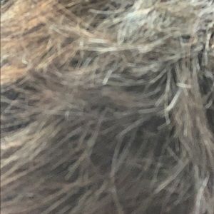 Meet your Posher, Alejandro